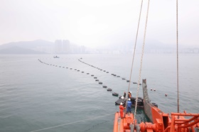 TKO Express海底光纖電纜部署運營(yíng) 緩解香港數據中心不足